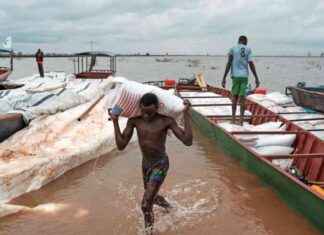 Impact of Trump’s USAID Cuts on Communities – Inside Climate News mpact-of-trumps-usad-cuts-on-communities-nside-climate-news