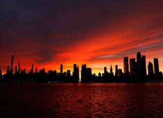 New York Mayoral Candidates Showcase Green Credentials new-york-mayoral-candidates-showcase-green-credentials