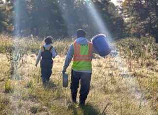 Protecting New York’s Imperiled Wetlands: Inside Climate News protecting-new-yorks-mperiled-wetlands-nside-climate-news