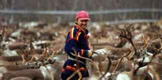 Protecting Sámi Homelands: Improving Legal Safeguards protecting-smi-homelands-mproving-legal-safeguards