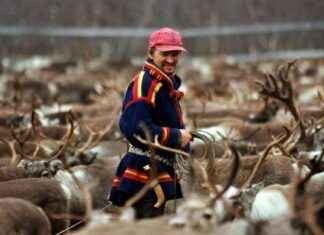 Protecting Sámi Homelands: Improving Legal Safeguards protecting-smi-homelands-mproving-legal-safeguards