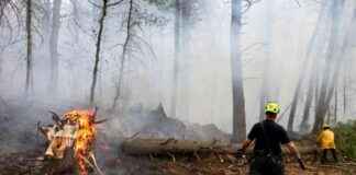 Is the Northeast at Risk of Another Devastating Wildfire Season? s-the-northeast-at-risk-of-another-devastating-wildfire-season