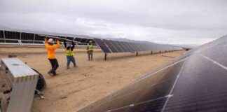 Solar and Battery Storage to Dominate 2025 Electricity Generation solar-and-battery-storage-to-dominate-2025-electricity-generation