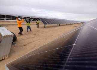 Solar and Battery Storage to Dominate 2025 Electricity Generation solar-and-battery-storage-to-dominate-2025-electricity-generation