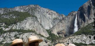 staff-cuts-threaten-national-parks-and-forest-service-management