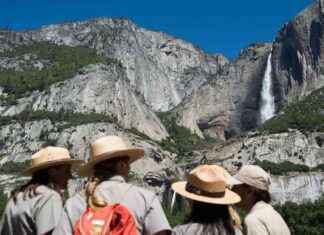 Staff Cuts Threaten National Parks and Forest Service Management staff-cuts-threaten-national-parks-and-forest-service-management