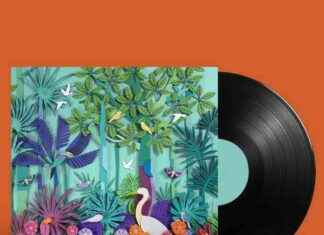 Stewart Copeland’s ‘Wild Concerto’: Nature Sounds and Music Blend stewart-copelands-wild-concerto-nature-sounds-and-music-blend