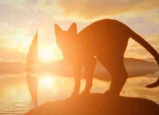 Surviving the End: ‘Flow’ Film Shows Cat’s Perspective surviving-the-end-flow-film-shows-cats-perspective