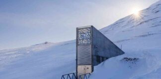 svalbard-seed-vault-expands-collection-with-climate-hardy-crops
