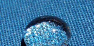 top-500-pfas-alternatives-database-ecowatch