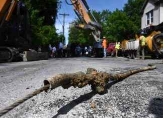 Trump & GOP Congress Trying to Reverse Lead Pipe Protections trump-gop-congress-trying-to-reverse-lead-pipe-protections