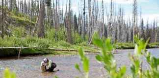 Trump Order Fast-Tracks Projects Harming Wetlands, Environmental Groups Warn trump-order-fast-tracks-projects-harming-wetlands-environmental-groups-warn