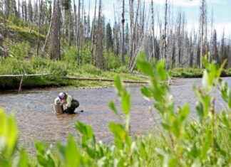 Trump Order Fast-Tracks Projects Harming Wetlands, Environmental Groups Warn trump-order-fast-tracks-projects-harming-wetlands-environmental-groups-warn