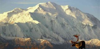 trump-renames-denali-to-mount-mckinley-the-reasons-behind
