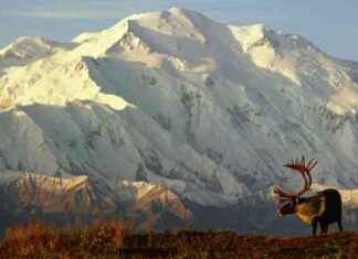 Trump Renames Denali to Mount McKinley: The Reasons Behind. trump-renames-denali-to-mount-mckinley-the-reasons-behind