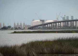 Trump’s Gas Exports Impact on Power Bill Costs trumps-gas-exports-mpact-on-power-bill-costs