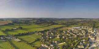 UK Government Blueprint Calls for 9% of England’s Farmland to Become Wildlife Habitats and Forests uk-government-blueprint-calls-for-9-of-englands-farmland-to-become-wildlife-habitats-and-forests