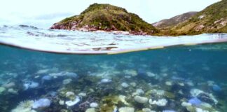 uncovering-the-reasons-behind-earths-record-hot-ocean-streak