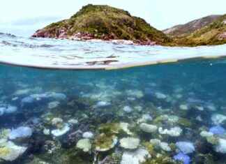 Uncovering the Reasons Behind Earth’s Record-Hot Ocean Streak uncovering-the-reasons-behind-earths-record-hot-ocean-streak