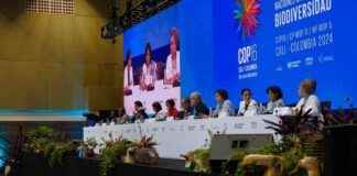 Unlocking Business Investment: COP16 2.0 for Nature Funding unlocking-business-nvestment-cop16-20-for-nature-funding