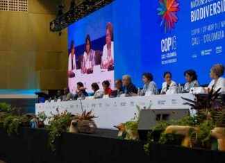 Unlocking Business Investment: COP16 2.0 for Nature Funding unlocking-business-nvestment-cop16-20-for-nature-funding