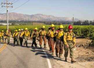 US Forest Service Firings Cause Catastrophic Staffing Shortage us-forest-service-firings-cause-catastrophic-staffing-shortage