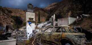 Warning for Los Angeles: Learning from Maui’s Post-Wildfire Housing Crisis warning-for-los-angeles-learning-from-mauis-post-wildfire-housing-crisis