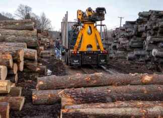 Activists Criticize Trump’s Forest Executive Order – Inside Climate News activists-criticize-trumps-forest-executive-order-nside-climate-news