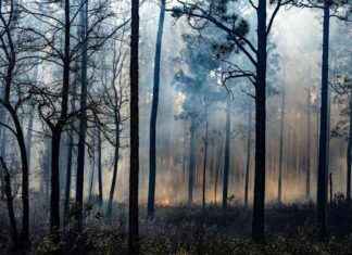 Birmingham Air Quality Alert: Causes and Solutions birmingham-air-quality-alert-causes-and-solutions