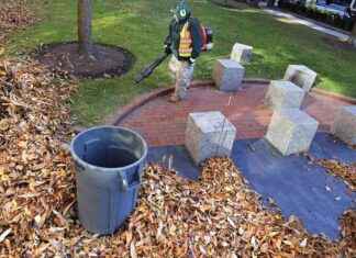 Cambridge, MA Bans Gas Leaf Blowers for Environment Protection cambridge-ma-bans-gas-leaf-blowers-for-environment-protection