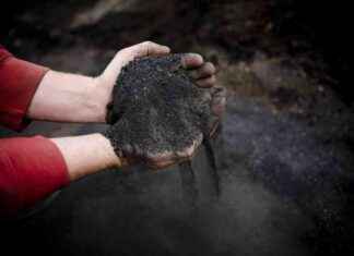 Carbon Sequestration: Ancient Ingenuity for Long-Term Storage carbon-sequestration-ancient-ngenuity-for-long-term-storage