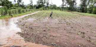 Climate Change Impact on Major Crops – Study Reveals climate-change-mpact-on-major-crops-study-reveals