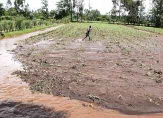 Climate Change Impact on Major Crops – Study Reveals climate-change-mpact-on-major-crops-study-reveals