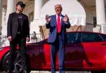 Elon Musk’s Impact on Electric Vehicle Politics elon-musks-mpact-on-electric-vehicle-politics