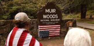 Executive Order Allows Private Logging in U.S. Public Forests executive-order-allows-private-logging-in-us-public-forests