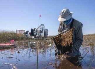 Florida Agencies’ Management of Treasured Waters Under Scrutiny florida-agencies-management-of-treasured-waters-under-scrutiny
