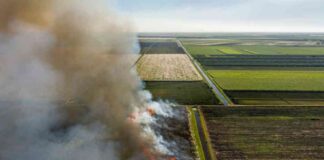 florida-sugar-ndustry-pollution-disproportionately-mpacts-underprivileged-communities