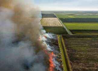 Florida Sugar Industry Pollution Disproportionately Impacts Underprivileged Communities florida-sugar-ndustry-pollution-disproportionately-mpacts-underprivileged-communities