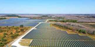 Florida’s Rise as Solar Powerhouse: Unveiling the Success Story floridas-rise-as-solar-powerhouse-unveiling-the-success-story