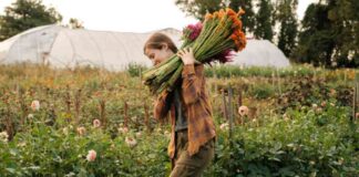 lawsuit-against-trump-and-usda-for-promised-funds