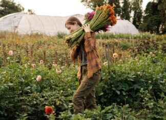 Lawsuit Against Trump and USDA for Promised Funds lawsuit-against-trump-and-usda-for-promised-funds