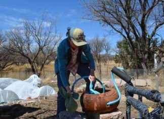 Impact of Trump Administration’s Funding Freeze on Arizona Conservation Efforts mpact-of-trump-administrations-funding-freeze-on-arizona-conservation-efforts