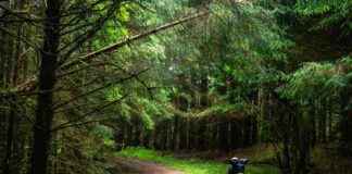 Nature’s Pain Alleviation & Climate Change Impact – Inside Climate News natures-pain-alleviation-climate-change-mpact-nside-climate-news