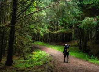 Nature’s Pain Alleviation & Climate Change Impact – Inside Climate News natures-pain-alleviation-climate-change-mpact-nside-climate-news