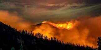 Incorporating Resiliency Measures into Credit Strength Analysis ncorporating-resiliency-measures-into-credit-strength-analysis