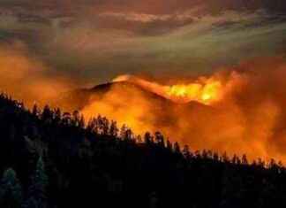 Incorporating Resiliency Measures into Credit Strength Analysis ncorporating-resiliency-measures-into-credit-strength-analysis