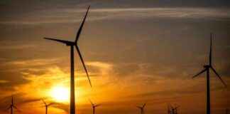 Protecting Clean Energy Tax Credits from Trump Administration Cuts protecting-clean-energy-tax-credits-from-trump-administration-cuts