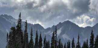 Record Attendance at U.S. National Parks Despite Staff Silence record-attendance-at-us-national-parks-despite-staff-silence