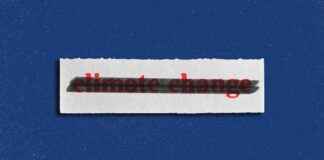 Trump’s Climate Language Purge: ‘Resilience’ No Longer Safe trumps-climate-language-purge-resilience-no-longer-safe