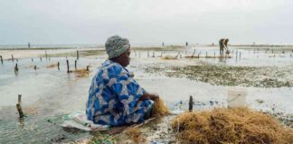 understanding-climate-vulnerability-stories-of-two-women